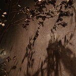 Pizzeria domo Nakameguro - 