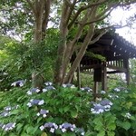 吉祥庵 - 浄瑠璃寺の庭園の鐘