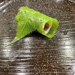 懐石料理 はし本 - 