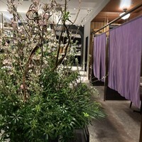 THE WASHIN by 上越やすだ - 