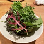 蘖 - 八百富農園の20種類以上を野菜サラダに。ニンニクベースの暖かいドレッシングをかけて。