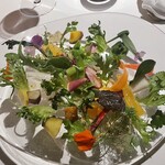 レフェルヴェソンス - 