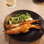 books to curry 猫のしっぽ - 