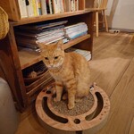 books to curry 猫のしっぽ - 