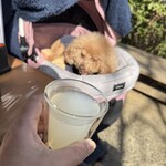 そば処 湧水 - 蕎麦湯割で乾杯♪