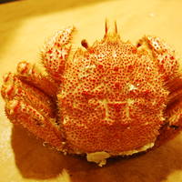 毛蟹