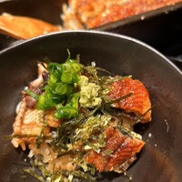 うなぎ四代目菊川 ヒルトンプラザウエスト大阪店 - 薬味全部乗せ