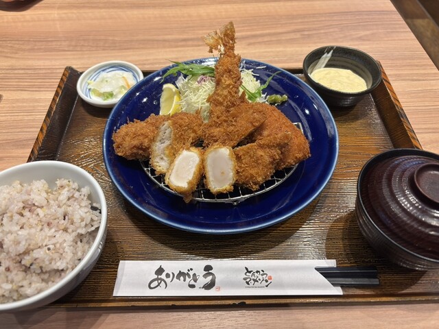 Tonkatsu Ma Maison Mozo Wander City Ten photo 3