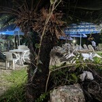 たるりや - テラス席