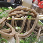 うどん 丸香 - そばアップ