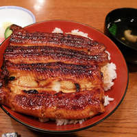 吉寅 - 鰻丼