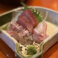 魚竹 - 