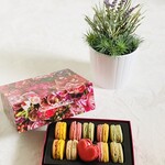 ピエール・エルメ・パリ - 