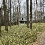 八ヶ岳 えさき - お店と、周辺の白樺林