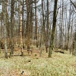 八ヶ岳 えさき - 自席から、外の風景