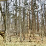 八ヶ岳 えさき - 自席から、外の風景