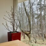 八ヶ岳 えさき - 自席から