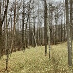 八ヶ岳 えさき - 外の風景