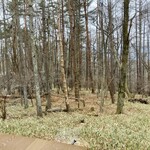 八ヶ岳 えさき - 自席から、外の風景