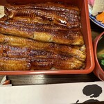 うなぎ亭 友栄 - 大ぶりな鰻、中央は重なっている