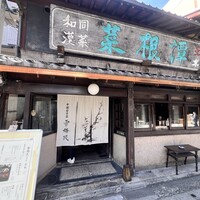 雪梅花 菜根譚 - 