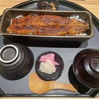 うなぎ四代目菊川 ヒルトンプラザウエスト大阪店 - 