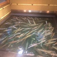 稚加榮 本店 - 