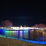 プリムローズ - ②