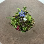 オトワ レストラン - 