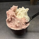 Curry Spice Gelateria KALPASI - 