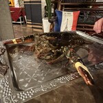 ビストロ セレニテ - 