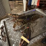 ビストロ セレニテ - 