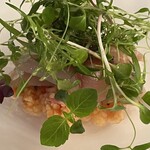 マダム・トキ - 