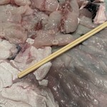 ふぐと鯨 しお福 - 