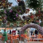 黄金トマトのカル麺 - 