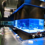 サメが回遊する４mの巨大水槽を囲むカウンター