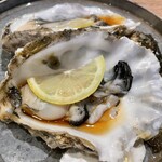 幻の和牛と三崎港直送鮮魚 モルゲン 横浜駅前店 - 