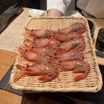 恵比寿 鮨 ふじまさ - 