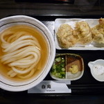 讃岐うどん 白庵 - ひやひやとり天セット