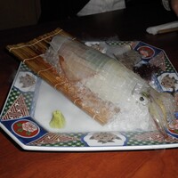 河太郎 中洲本店 - 