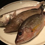 スーツァンレストラン陳 - 