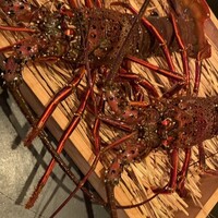 松阪牛懐石 真 - 