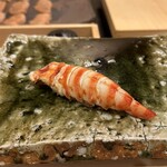 鮨桂太 - 車海老デカいです。頭の部分まで