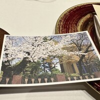 Restaurant Kamikura - 去年の桜
