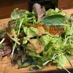 博多レターレ - 