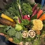 レフェルヴェソンス - Food Presentation ※アルチザンの野菜達の一部！