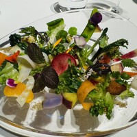 レフェルヴェソンス - アルチザン野菜 ※自身が食べて来た野菜料理で最も秀逸！