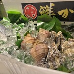 やどかり - カウンターセンターからの眺め