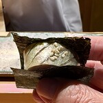 鮨 つぼみ - 鯖の棒寿司
      ガリの甘酸っぱさがポイント高いです⤴︎
      胡麻と海苔の風味良くこれも美味しい！