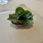 エスキス - [波しぶき] 蕎麦粉のタルトとナスタチウム